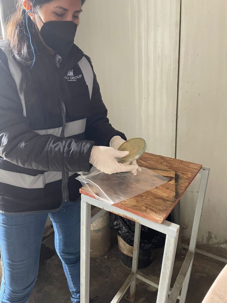 Gestión y control de materiales para asegurar la calidad y seguridad en el trabajo - Incogroup.